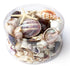 extra large purple seashell mix pack